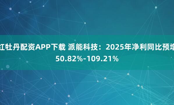 红牡丹配资APP下载 派能科技：2025年净利同比预增50.82%-109.21%