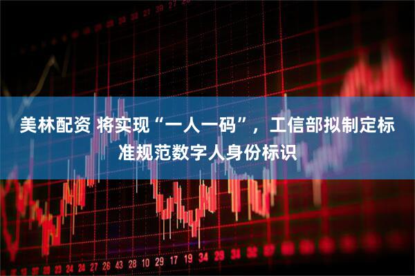美林配资 将实现“一人一码”，工信部拟制定标准规范数字人身份标识
