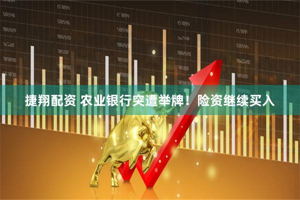 捷翔配资 农业银行突遭举牌！险资继续买入