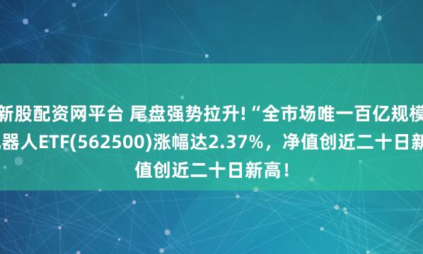 新股配资网平台 尾盘强势拉升!“全市场唯一百亿规模”机器人ETF(562500)涨幅达2.37%，净值创近二十日新高！