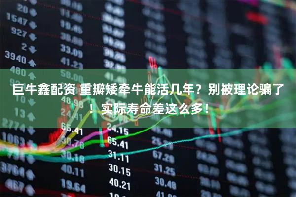 巨牛鑫配资 重瓣矮牵牛能活几年？别被理论骗了！实际寿命差这么多！