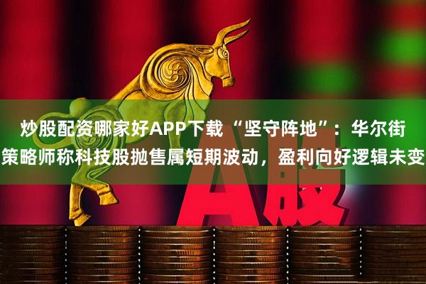 炒股配资哪家好APP下载 “坚守阵地”：华尔街策略师称科技股抛售属短期波动，盈利向好逻辑未变
